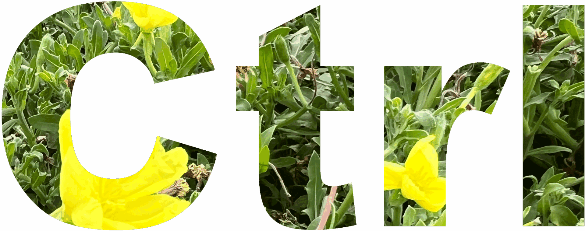 Ctrl 〜コントロール〜