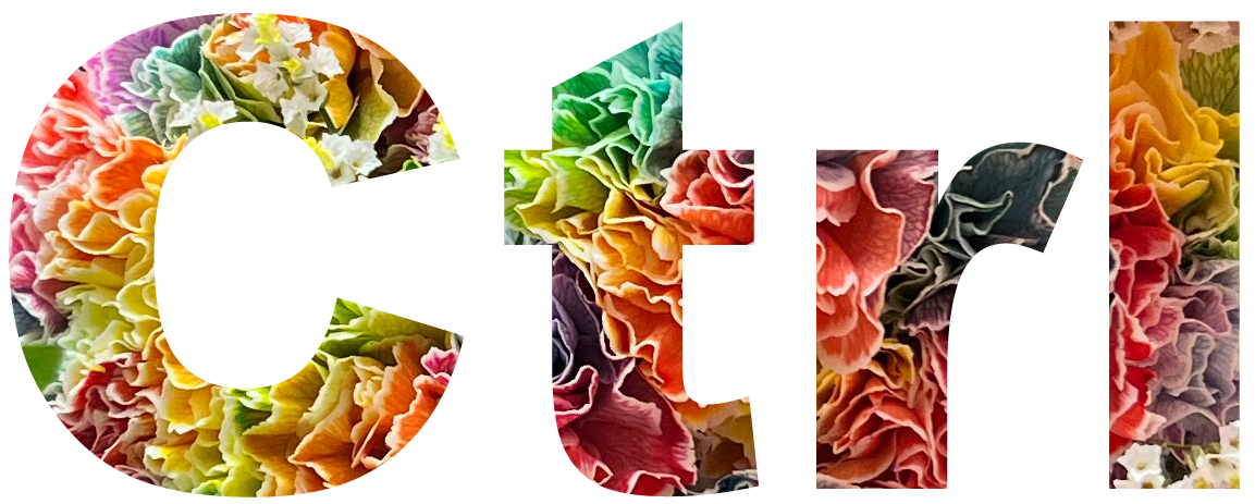Ctrl 〜コントロール〜