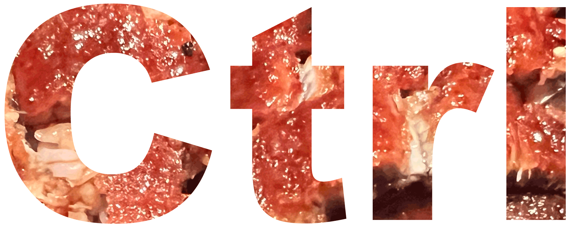 Ctrl 〜コントロール〜